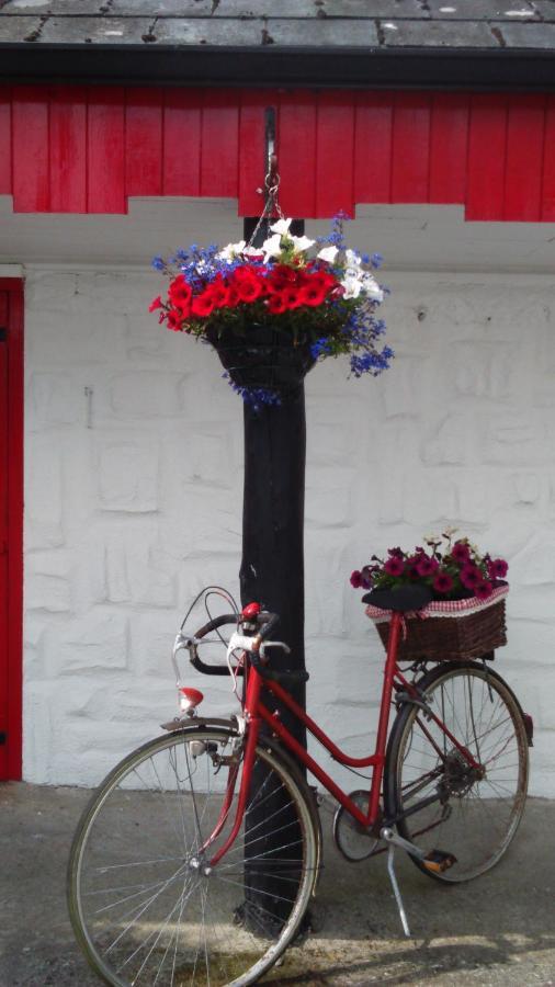Shannon Breeze Cottage Ballycrossaun Exterior foto