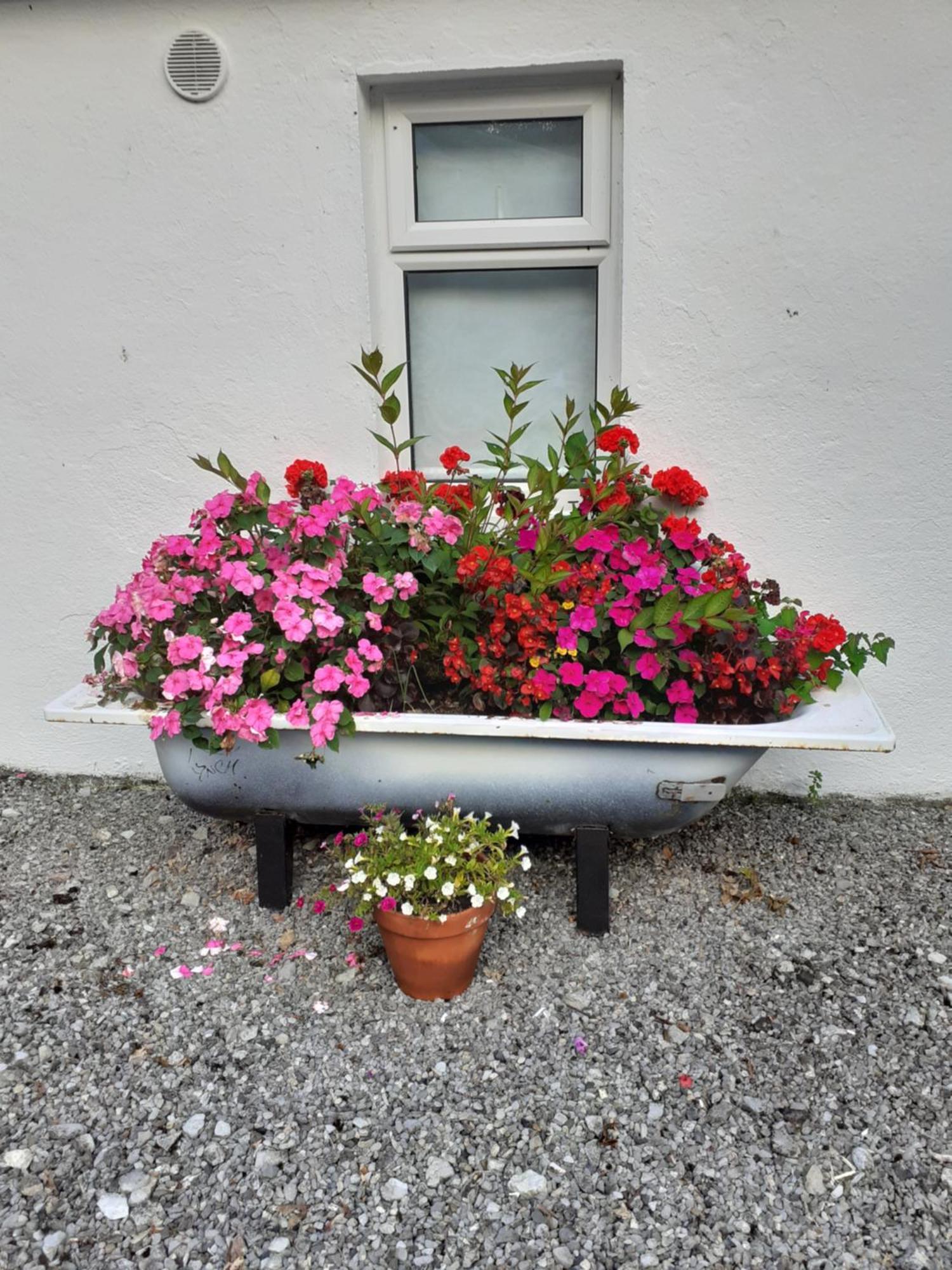 Shannon Breeze Cottage Ballycrossaun Exterior foto