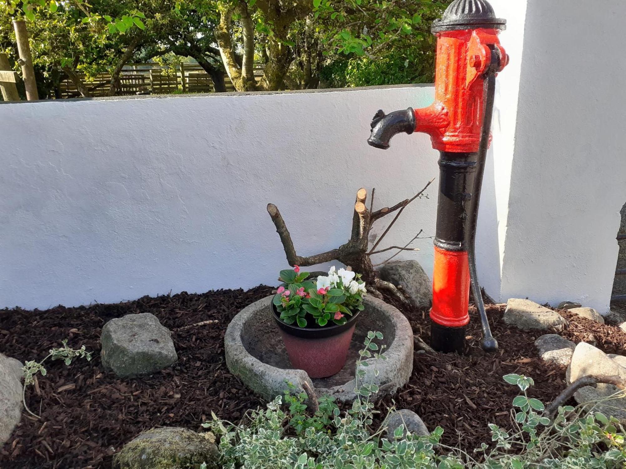 Shannon Breeze Cottage Ballycrossaun Exterior foto