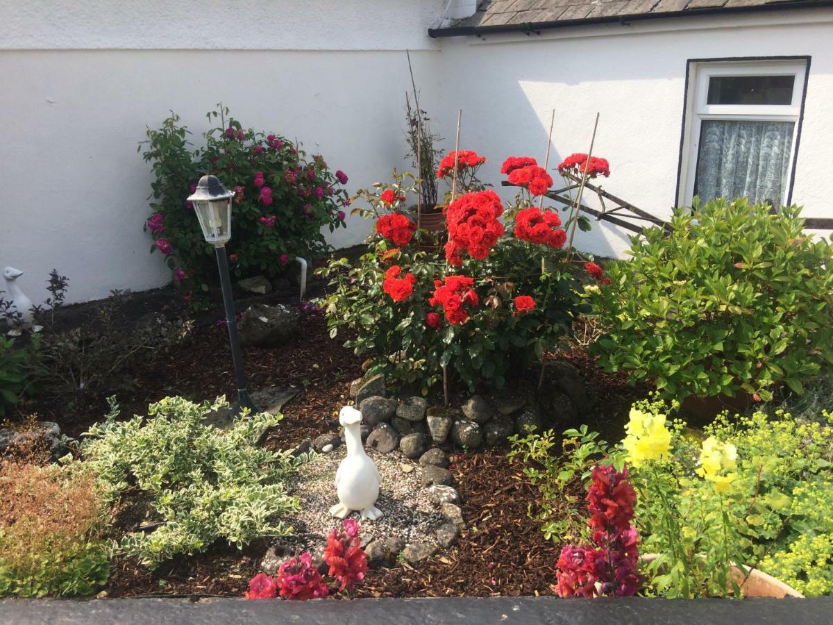 Shannon Breeze Cottage Ballycrossaun Exterior foto