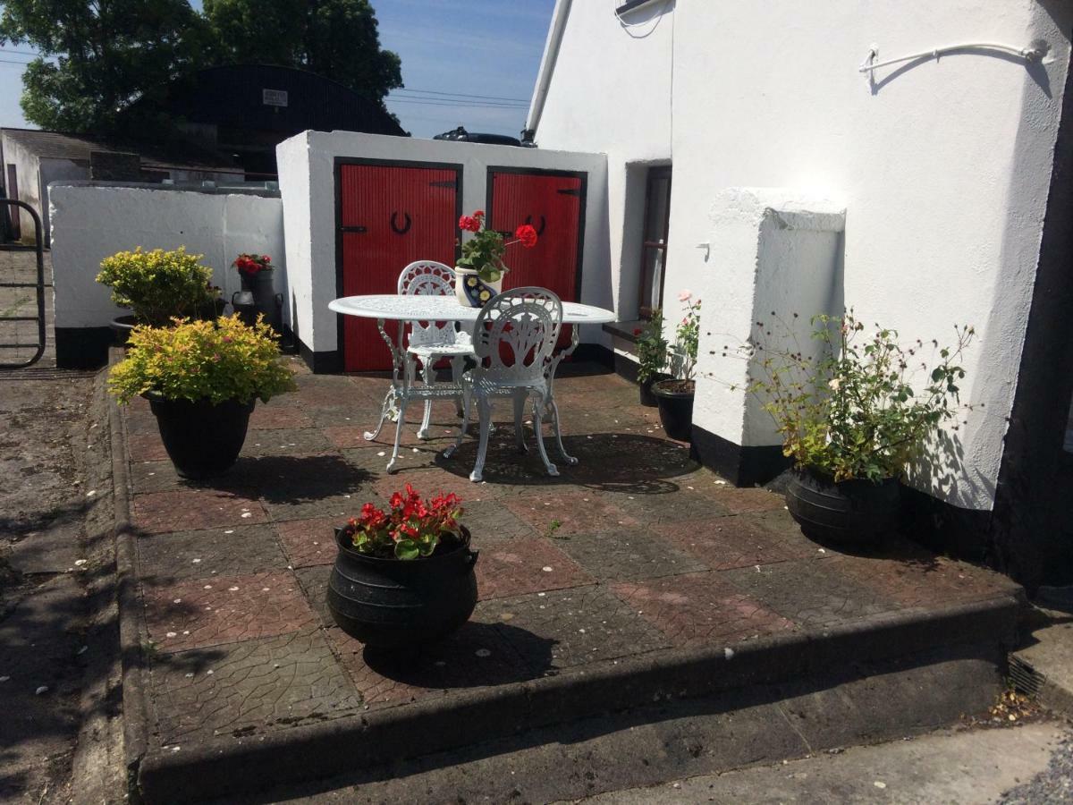Shannon Breeze Cottage Ballycrossaun Exterior foto