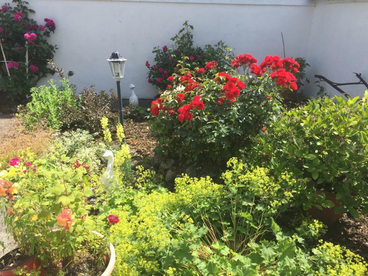 Shannon Breeze Cottage Ballycrossaun Exterior foto