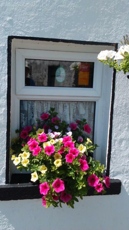 Shannon Breeze Cottage Ballycrossaun Exterior foto